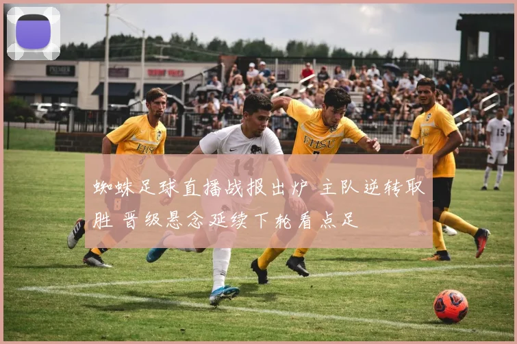 蜘蛛足球直播战报出炉 主队逆转取胜 晋级悬念延续下轮看点足