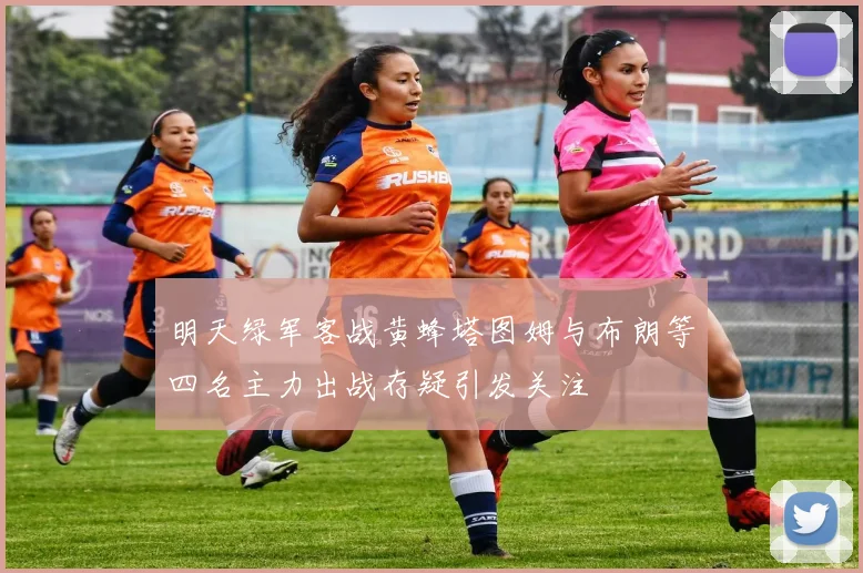 明天绿军客战黄蜂塔图姆与布朗等四名主力出战存疑引发关注