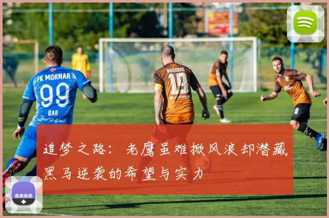 追梦之路：老鹰虽难掀风浪却潜藏黑马逆袭的希望与实力