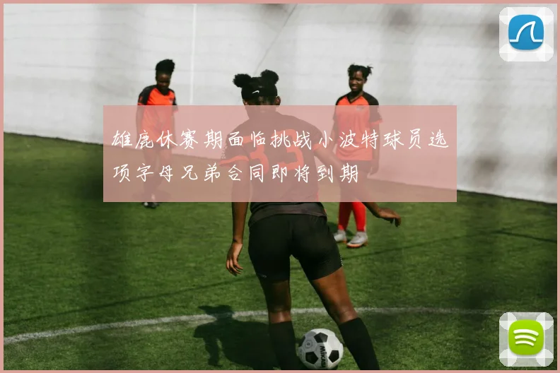 雄鹿休赛期面临挑战小波特球员选项字母兄弟合同即将到期