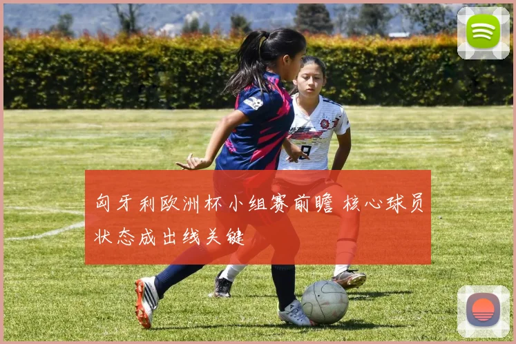 匈牙利欧洲杯小组赛前瞻 核心球员状态成出线关键