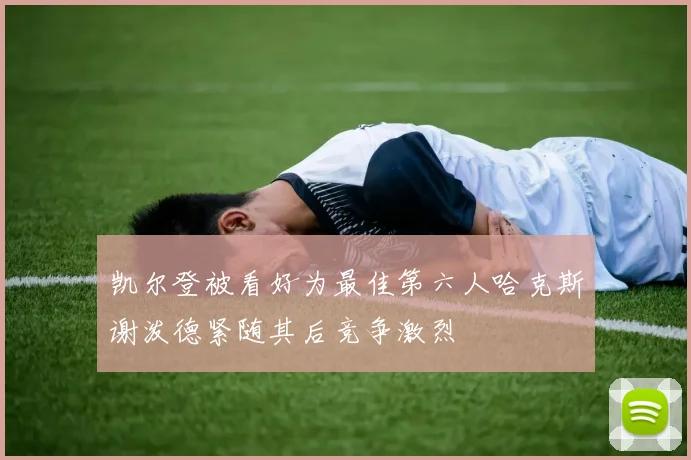 凯尔登被看好为最佳第六人哈克斯谢泼德紧随其后竞争激烈