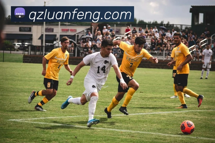 星空体育在线免费观看品牌故事